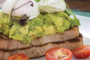 Avocado