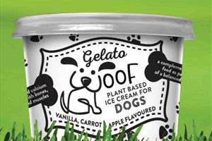 Doggy Ice Cream