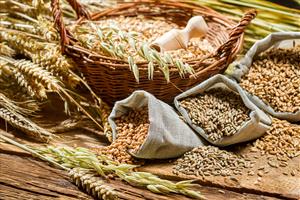 Grains