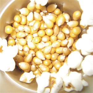 Popping Corn