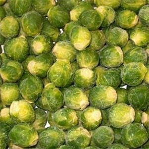 Medium Sprouts (2.5kg)