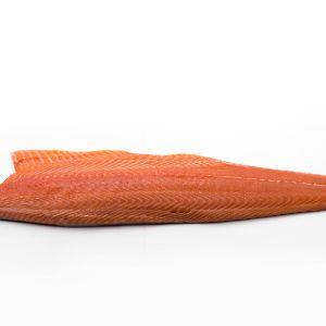 Atlantic Salmon Fillet Side