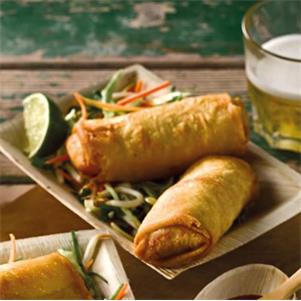 Savoury Beef Spring Rolls