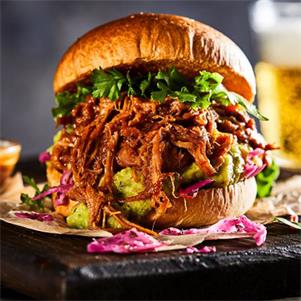 Pulled Pork in a BBQ Sauce