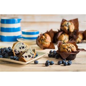 Blueberry Tulip Muffins