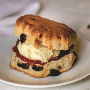 All Butter Sultana Scone