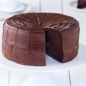 Alabama Fudge Cake