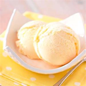 Summertime Vanilla Ice Cream