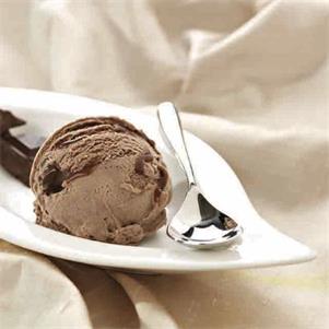 Vegan Chocolate Ice Cream