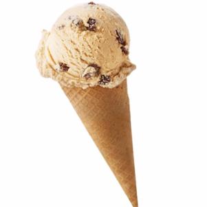 Rum and Raisin Ice Cream