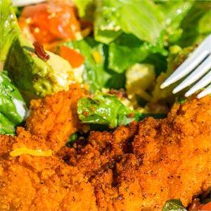 Southern Fried Coated Chicken Strips (28g)